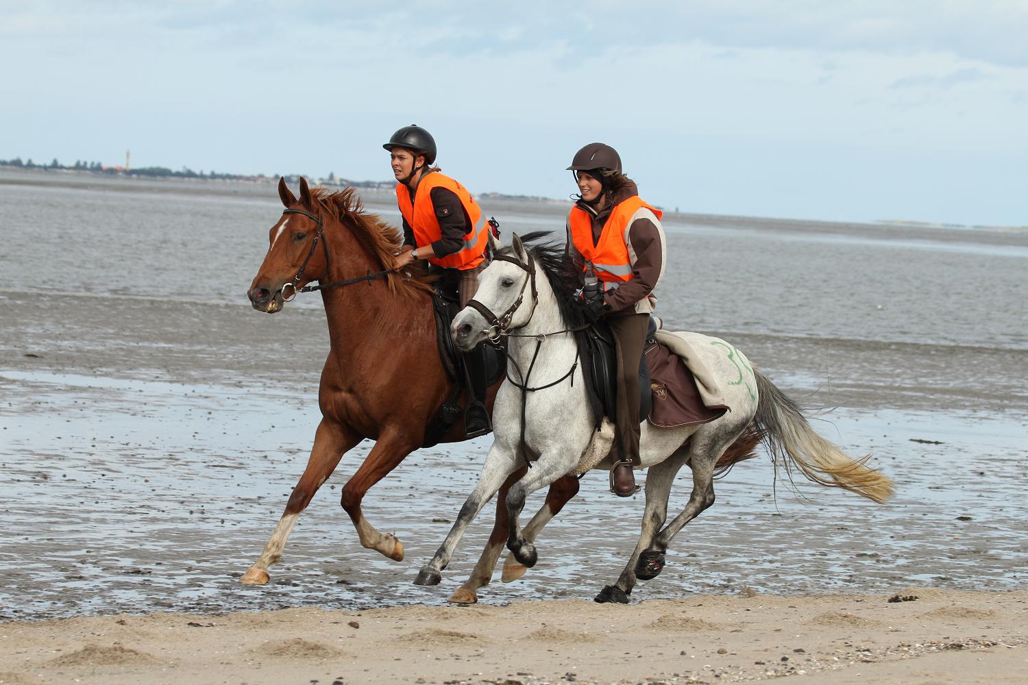 Endurance Riders